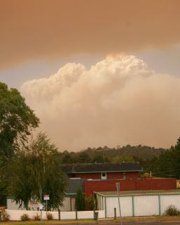 Murrundindi Smoke Cloud